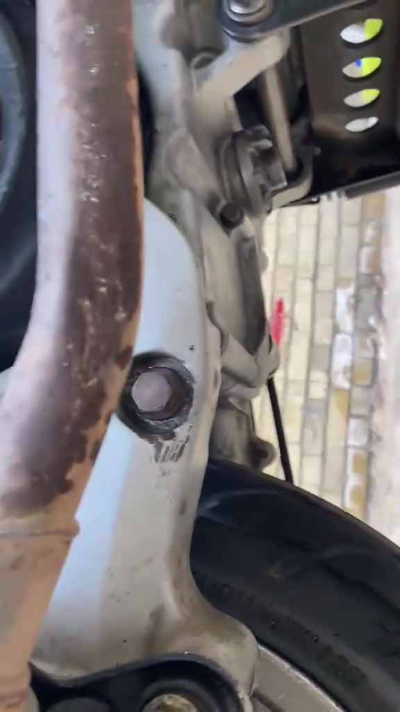 سكنس فحل • كابرتر • كهرباء شغالة