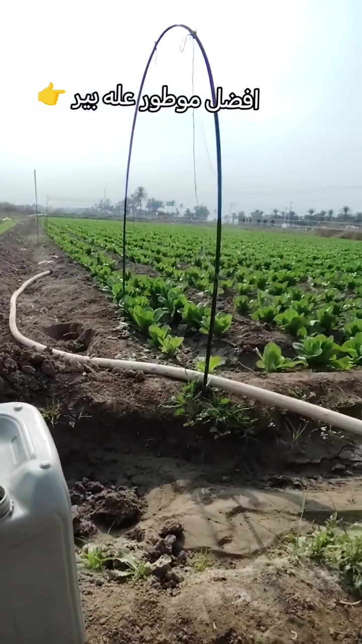حفر الابار الارتوازيه. ***********
يعلن عن حفر الابار بكافة الاحجام
غسل وتنشيف الابار 
حفر الركائز
حفر النقاط 
حفر وفحص التربه
وعمل كافه المقاولات العامه
نعمل في كافه محافضات العراق
دقه في العمل وسرعه في الانجاز
