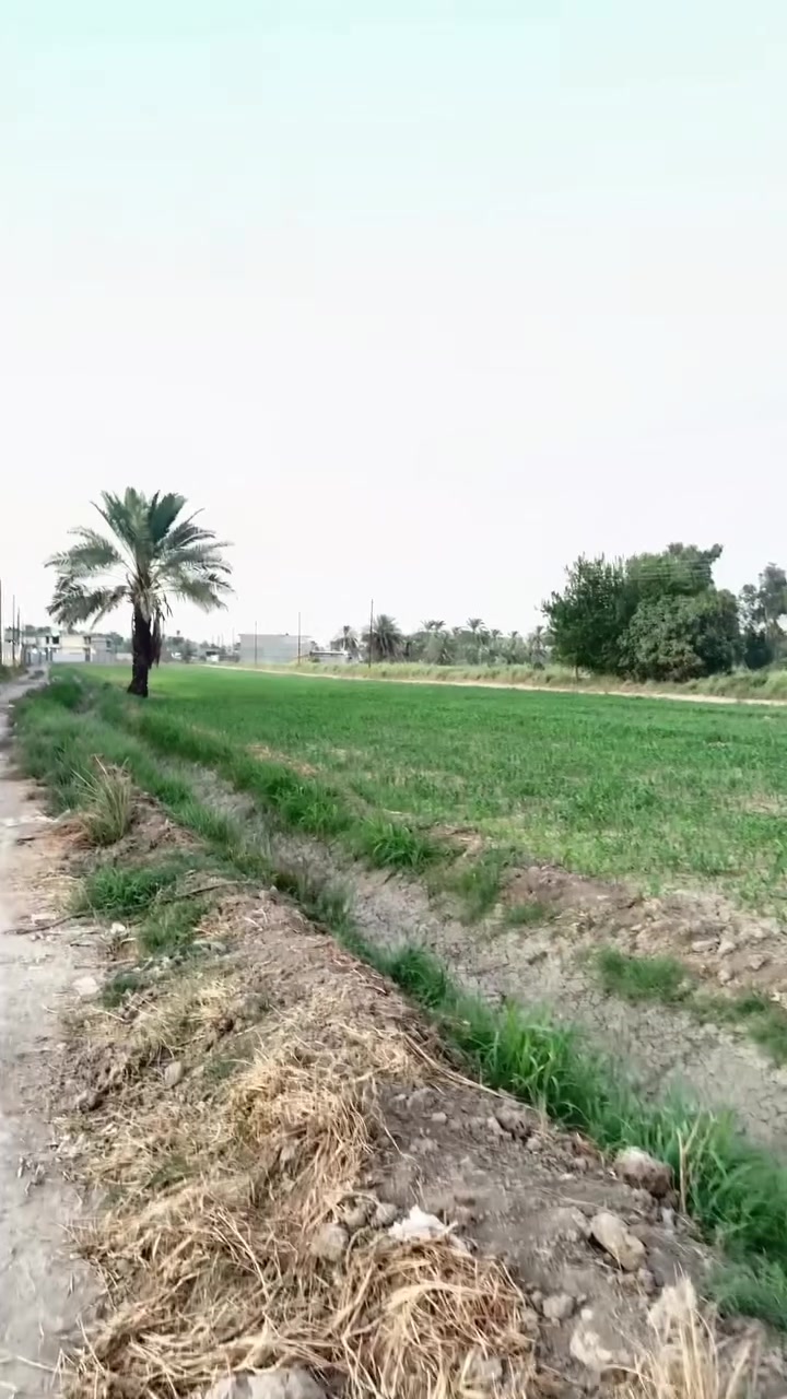 نص دونم • المدائن • الجعارة