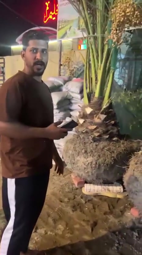 السلام عليكم متابعيني للطيبين نعرضلكم اميات برحي لحر من برحينه ابو لخصيب لعدد 2 كلش حلوات الي ياخذهن مايخسر ***********
