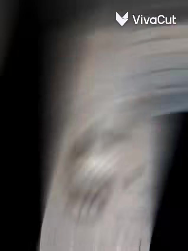 السلام عليكم ورحمة الله وبركاته
نقدم لكم خدمات احترافية تشمل:⚡ تأسيس وتسليك كامل (للمنازل والمباني).⚡ صيانة وإصلاح الأعطال الطارئة وحل مشاكل (الشورت والضغط العالي).⚡ تركيب لوحات التوزيع (البوردات) والإضاءة الحديثة.✨ خدمة سريعة، أسعار تنافسية، وأمان تام.📞 للتواصل والاستفسار: [رقم الهاتف]📍 الموقع: البصرة، العراق."

لتواصل ***********

حفر تنزيل نزلات شد بوريات شغلنا علي الليزر وحسب المخطط عمل شبكات بجميع انواعها حسب الطلب 

نشر الخارطه بدقه عاليه  نعمل بكل شيء 

تحيات ابو حسين لكم اسعارنا تنافسيه 

تحياتي لجميع والتوفيق لجميع 

كذالك نعمل فقط حفر ورسم الخريطه وعلاج الخريطه من الربط الداخلي سواء ترميم او سواء علاج انسداد البواري او ربط غرفه مايوجد بها نزالات كلش سعله مخطط الاناره الحديقه الداخليه الخارجيه رسم دقيق اي عمل نعمل به
