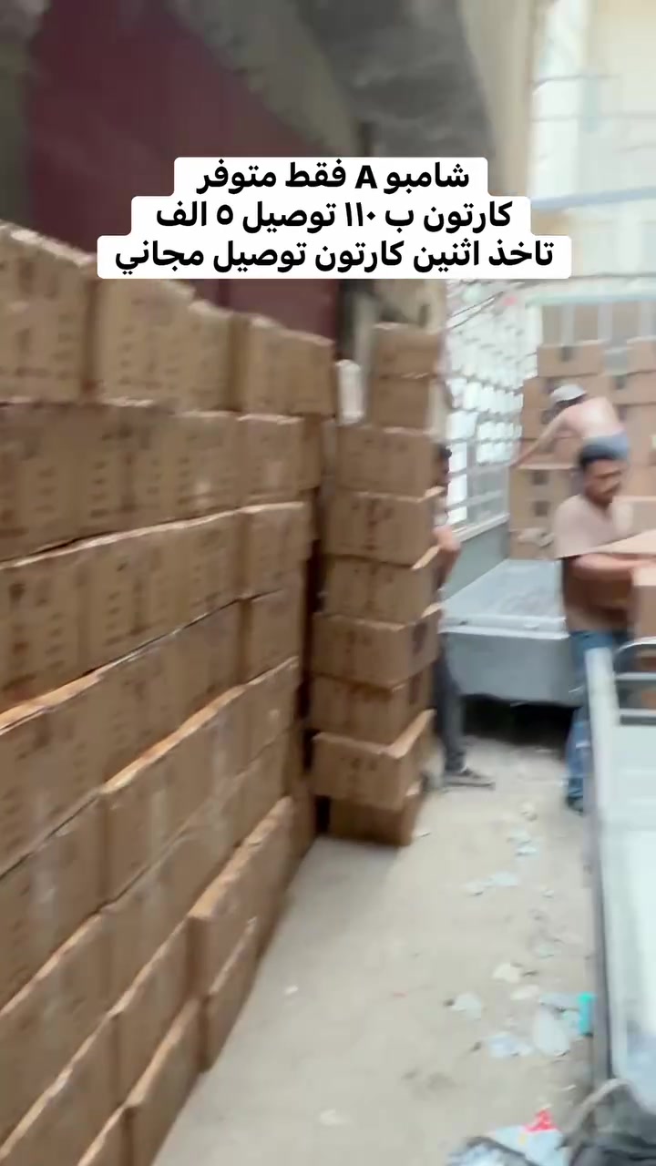 شامبو بروتين • ٢٤ قطعة • توصيل مجاني