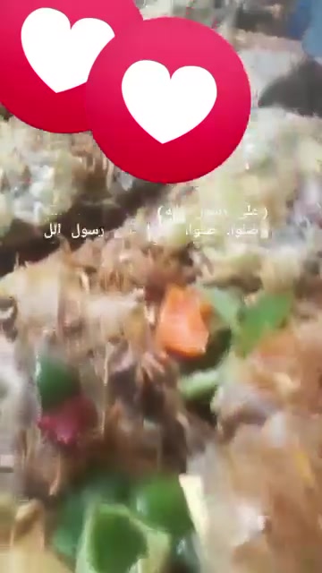 شيف عام • خبرة ٣٠ سنة • عمل سياحي