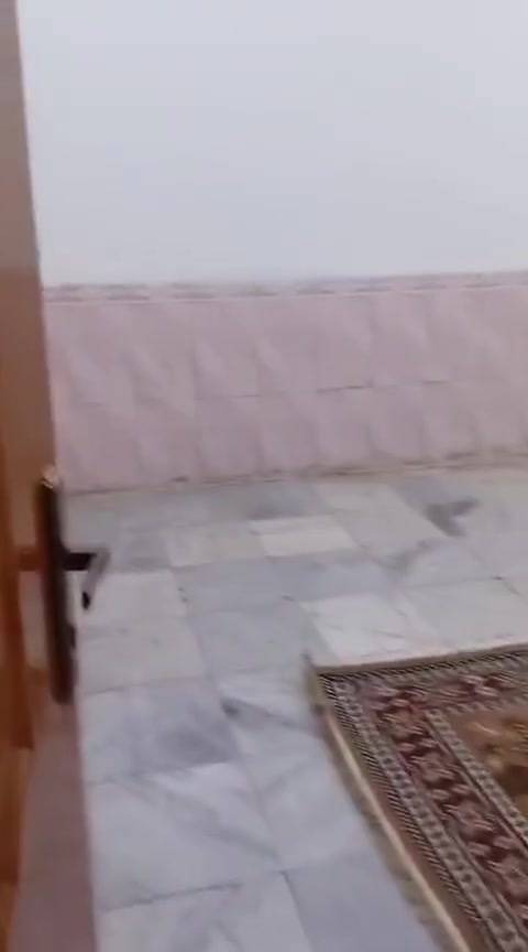 حي الامام المنتظر • غرفتين • لعائلة صغيرة