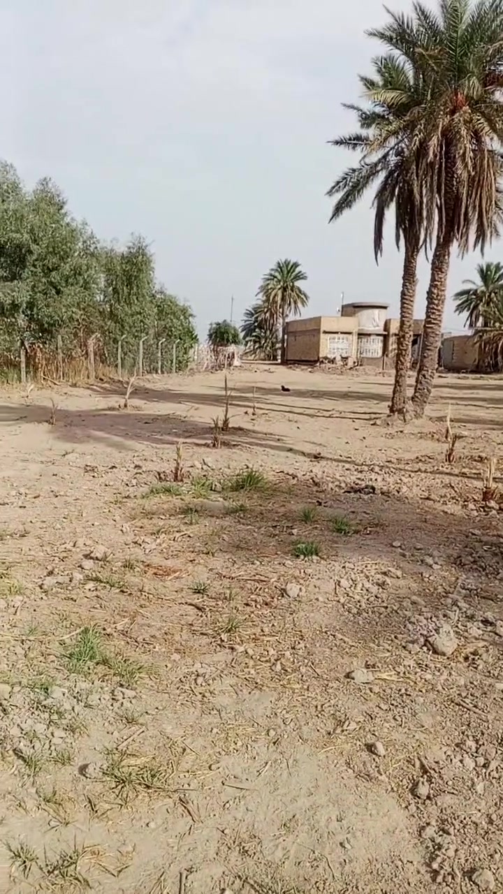 أرض • سعر بالفيديو • تفاصيل