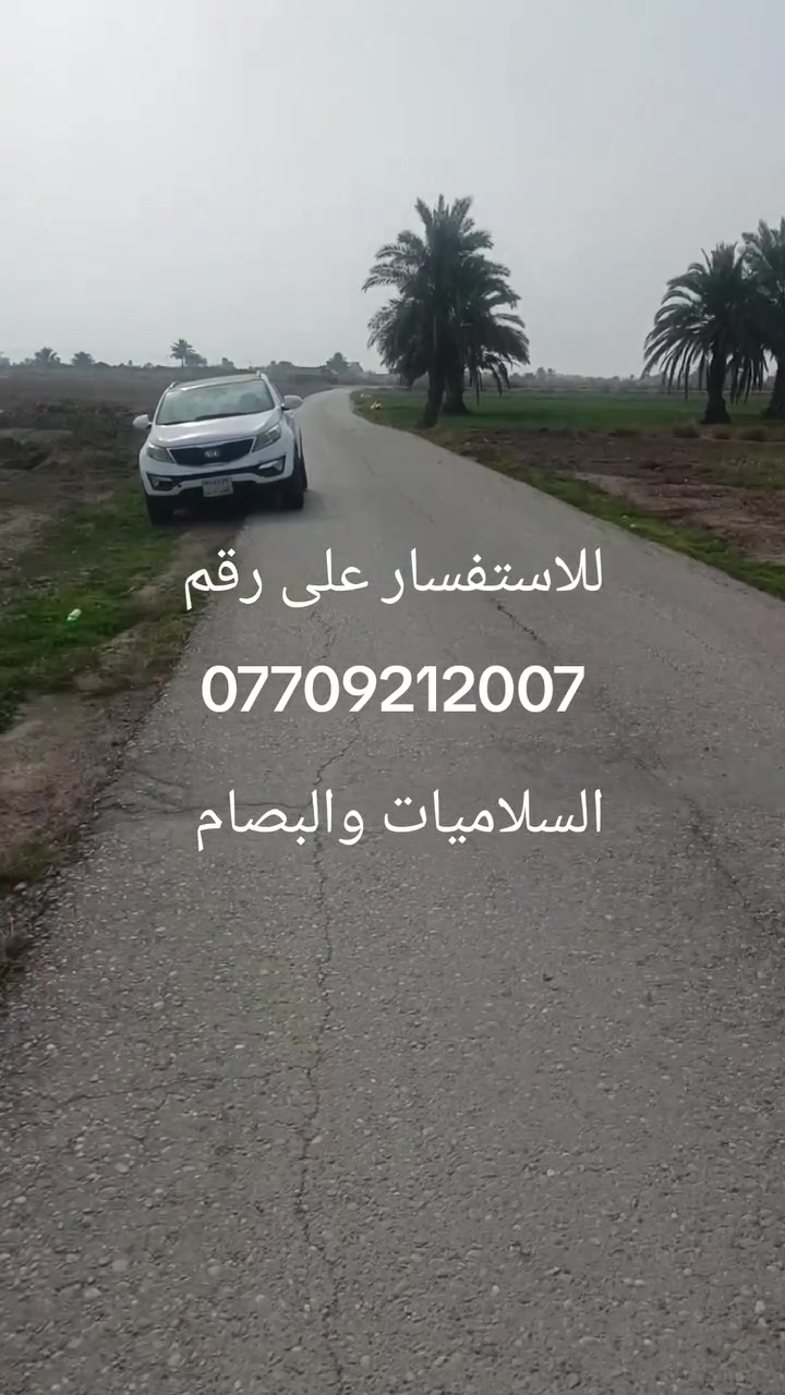دونمين ونص عقد 17 بين السلاميات والبصام قرب مركز شرطه اشهاب التميمي مقابل مدرسه المروج للاستفسار على رقم ***********
