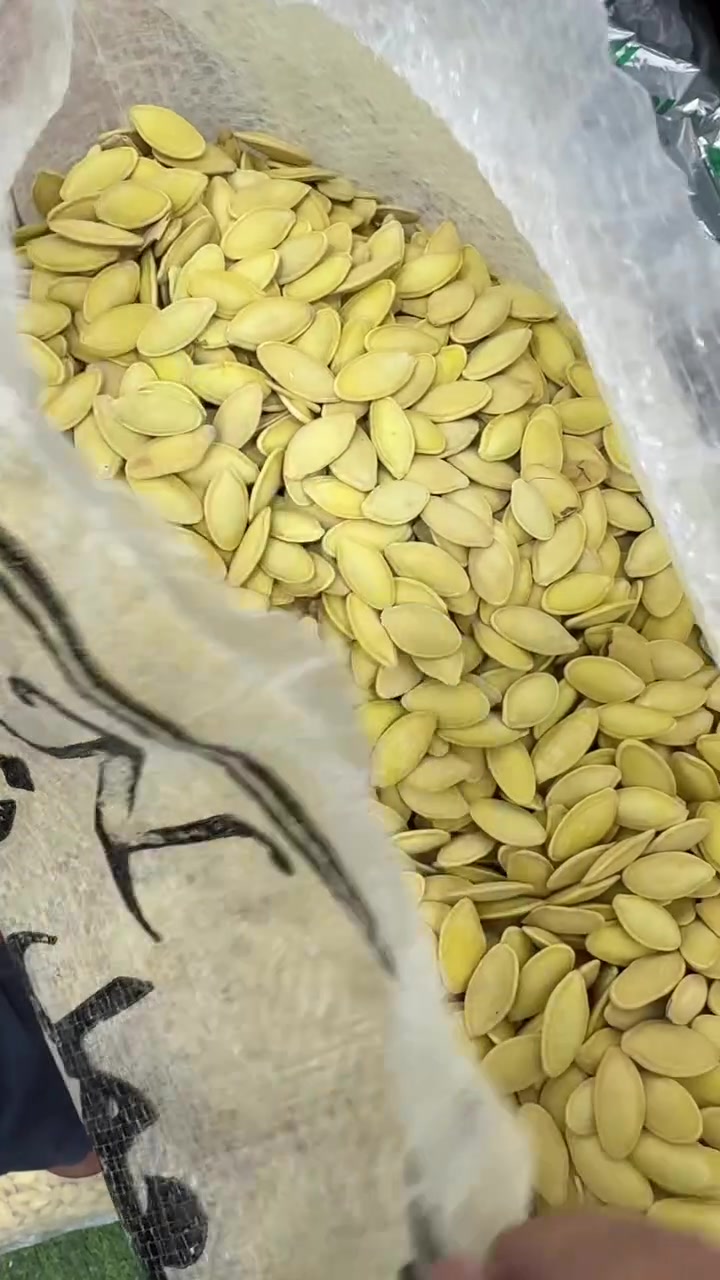 طوز • محل حاج احمد • توصيل متوفر