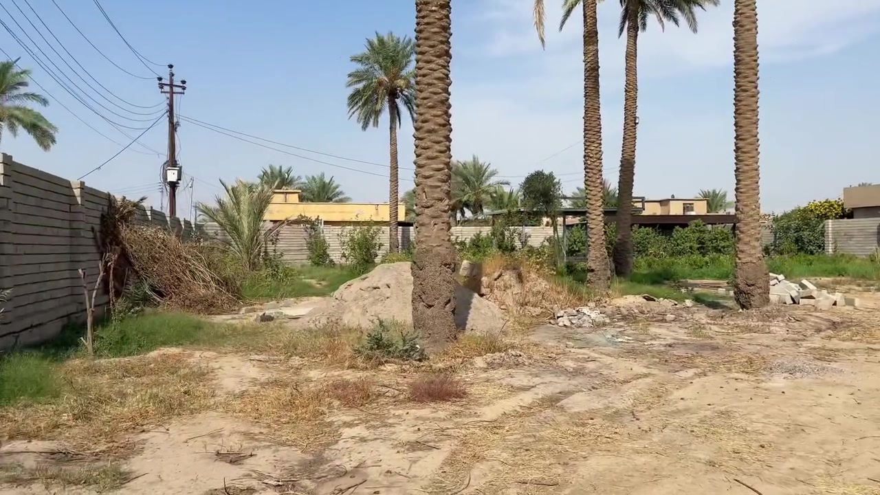 دونم • طابو زراعي • قضاء العلم