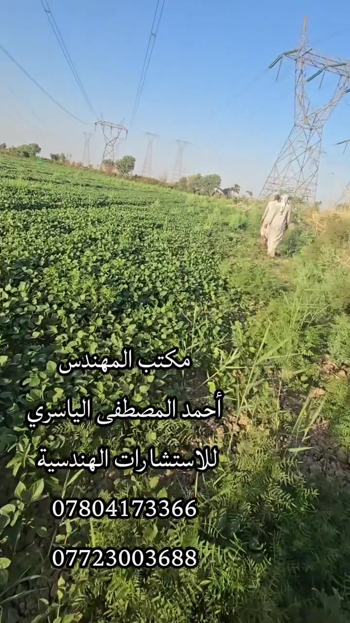 ٤٣ دونم • تقسيم حصص • دقة ١ سم
