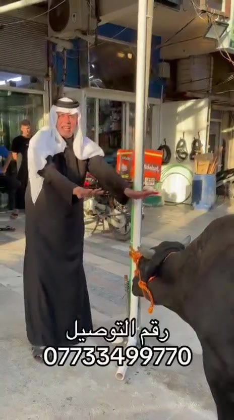 مطعم النجفي الكمالية شارع الجامع عمارة دبي مقابل مطعم فيروزه 
***********
