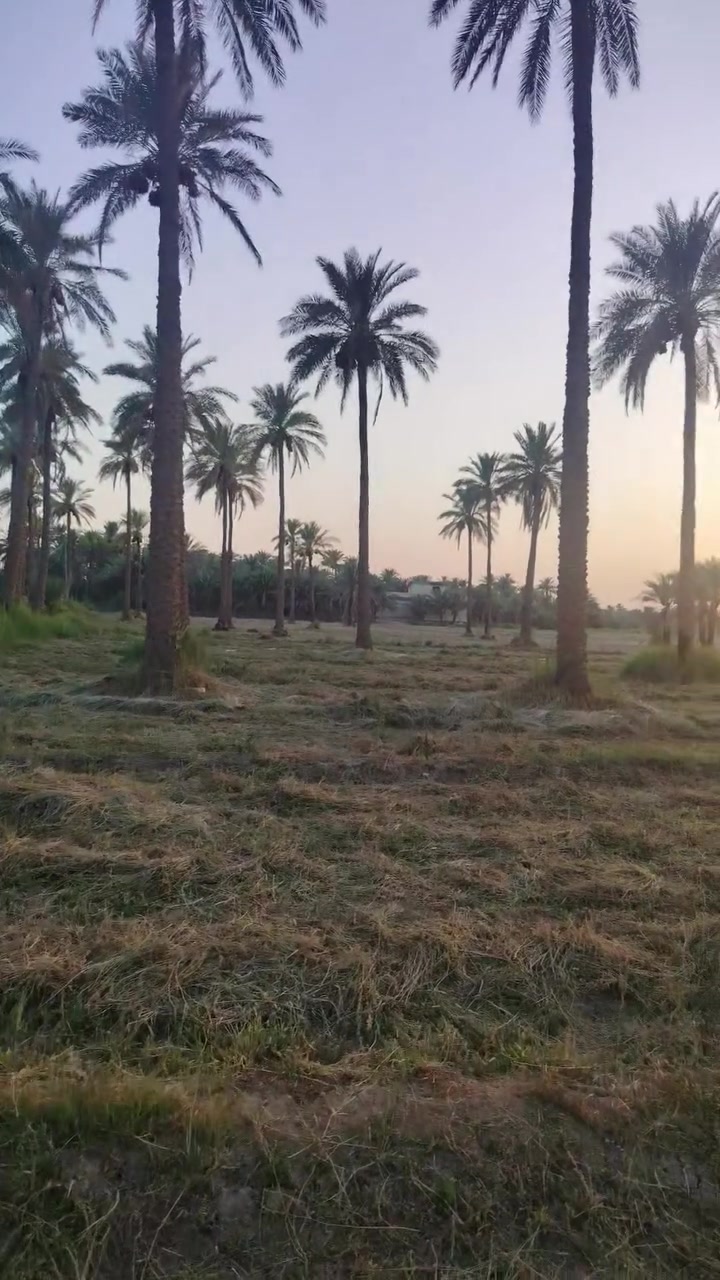 سلام عليكم ٢٠ دونم للبيع كافه الخدمات بيه طوريج الرجيبه يبعد عن الشارع الرئيسي ١٠٠ متر السعر الدونم الواحد ٨٥ وبي مجال قليل الاستفسار الاتصال على الرقم *********** يباع مفرد او كلهن
