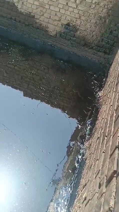 تزفيت السطوح • فلانكوت • الهاشميه