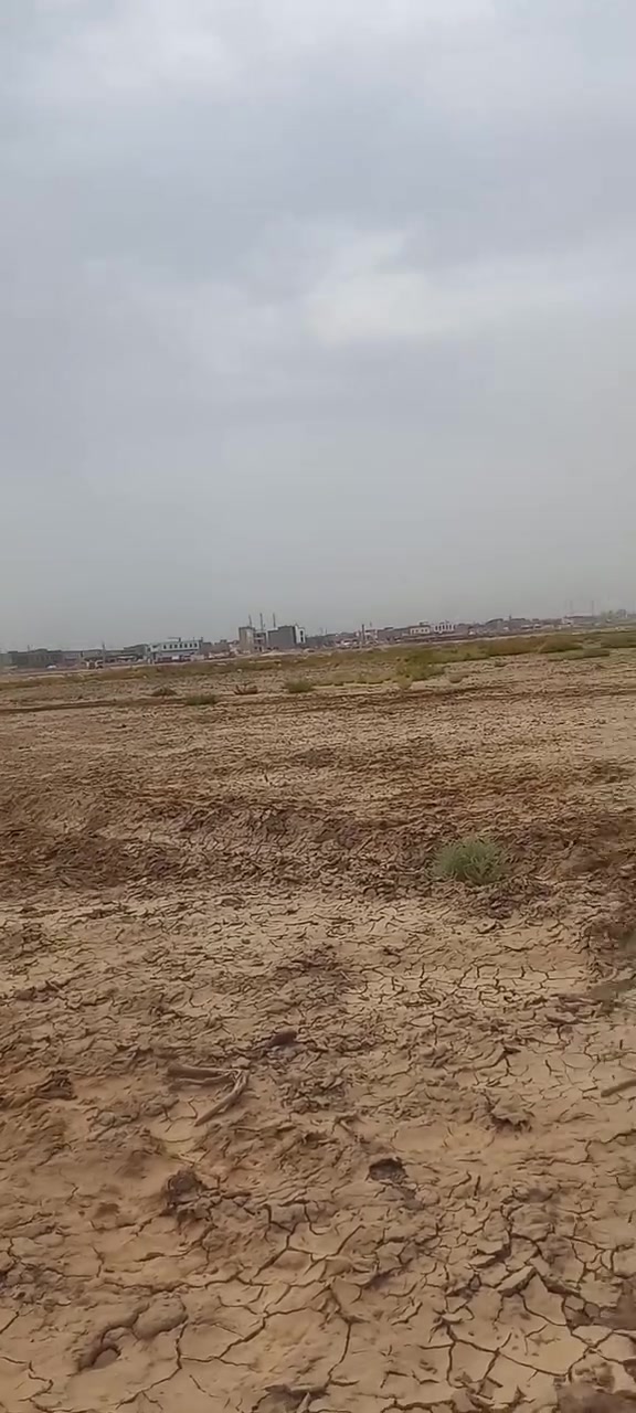 توزيعه المحامين • ٢٠٠م • عرصه