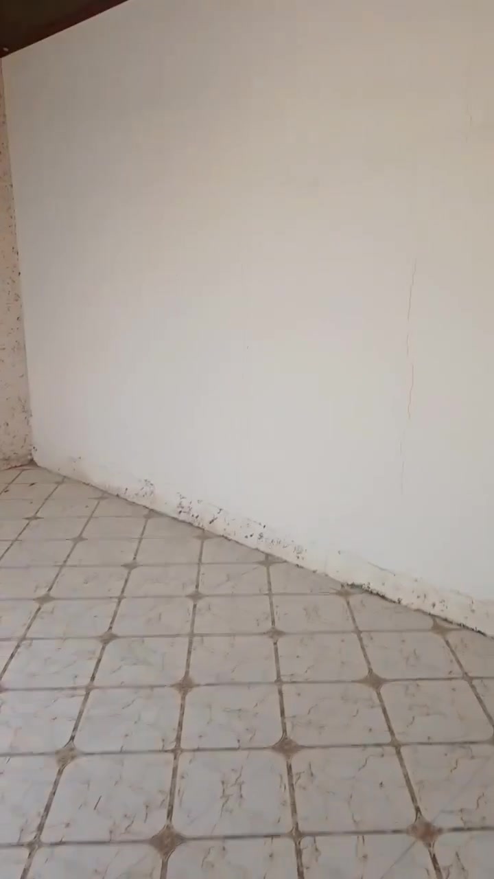 طابو زراعي • ١٠٠م • حي ميسان