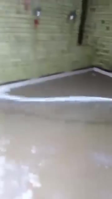***********‬‏اتصلوا على هذا الرقم وبخدمتكم ان شاء الله 📞
