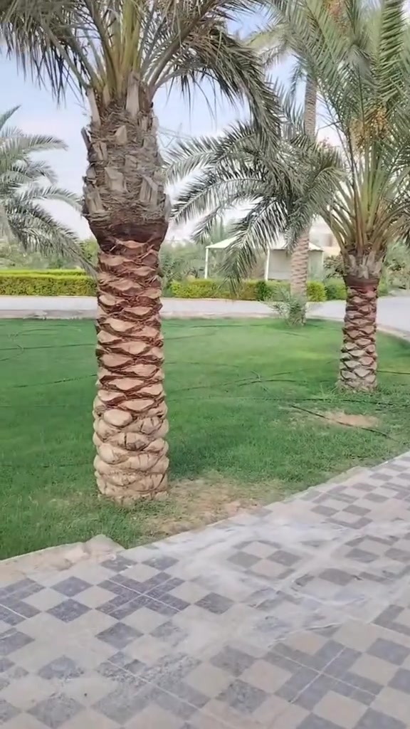 بيجي • تنظيف شامل • كادر يونس