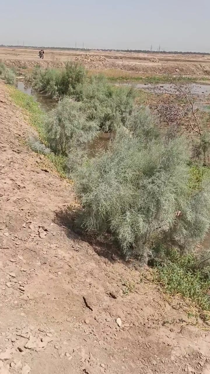 نص دونم ركن سند 25 
المكان الماجديه حي الزهراء خلف حجي حسن + ماء وكهرباء 
لاستفسار 
***********
