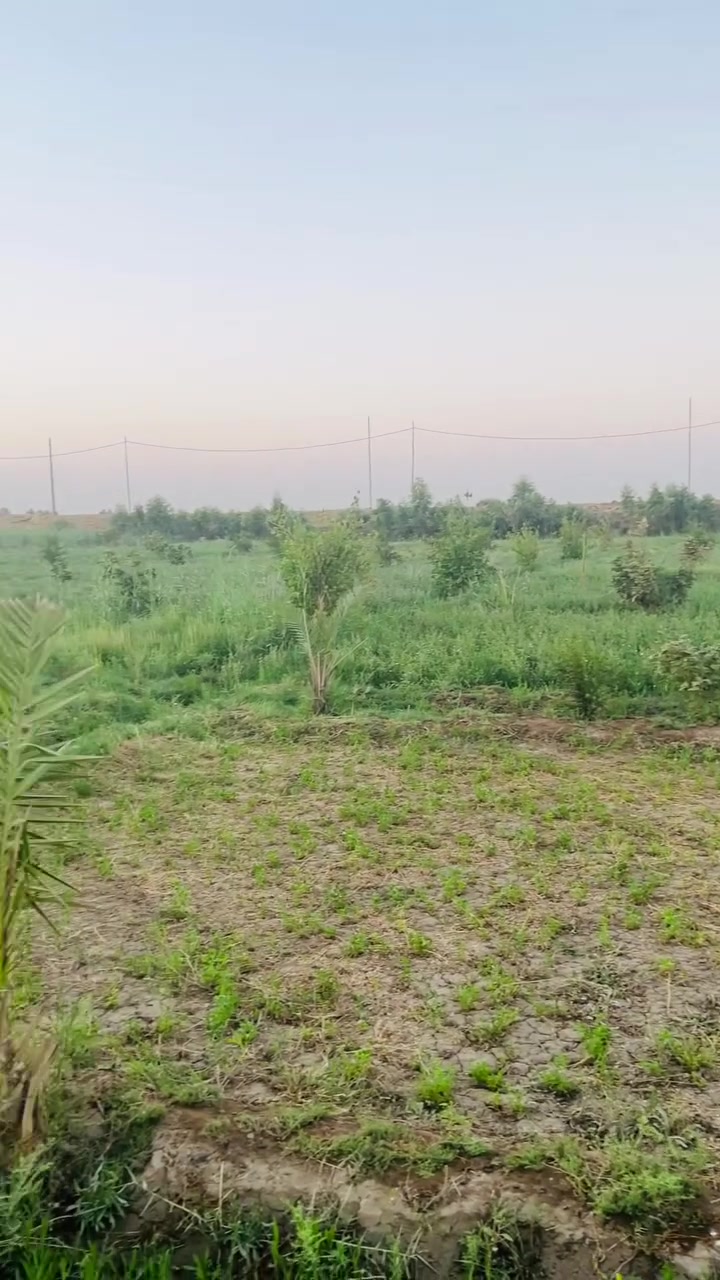 ارض زراعيه 2دونم للبيع على الشط مباشره واجه 47 ونزال 107 ماي كهرباء متوفره مكانها نزله الشريف جهه الطاقه  
***********
