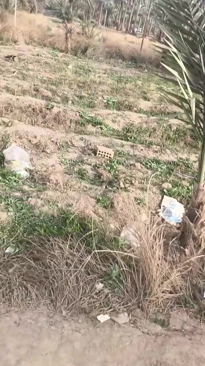 للبيع قطعه ارض زراعي سند ٢٥ شارع البحجازي قرب المنتزه العائلي ثاني قطعه عن التبليط هذي القطعه وهذا التبليط عنهه ١٥٠ متر الواجهه ٨ والنزال ١٩ خدمات كامله تفاصيل اكثر اتصل ***********
