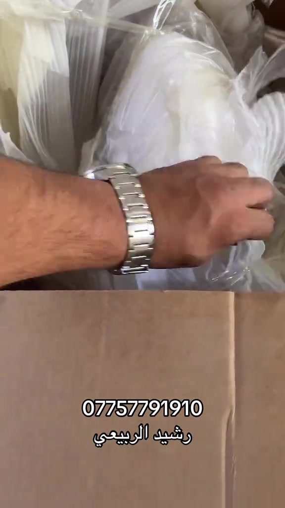 وجبه كفرات  #دراجات_نارية🔥 

نص مكتوب في الصور:
- *********** رشيد الربيعي