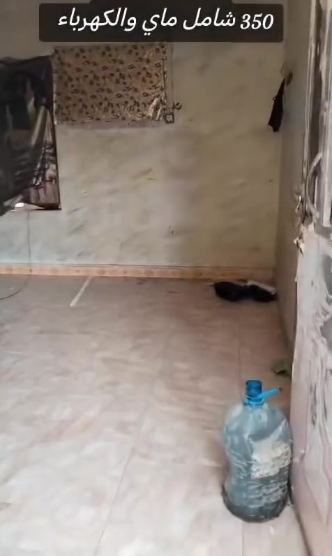 شقه للايجار طابق اول مساحتها 200 م في حي الاصدقاء المربع الذهبي تحتوي الشقه على غرفتين واستقبال ومطبخ وصحيات وسطح كامل والشقه كامله من كل شيء ما ناقص اي شيء سعر الايجار 350 شامل ماي الكهرباء قفل او اي شيء واي شيء تصلحه للشقه ينقص من الايجار للتواصل ***********
