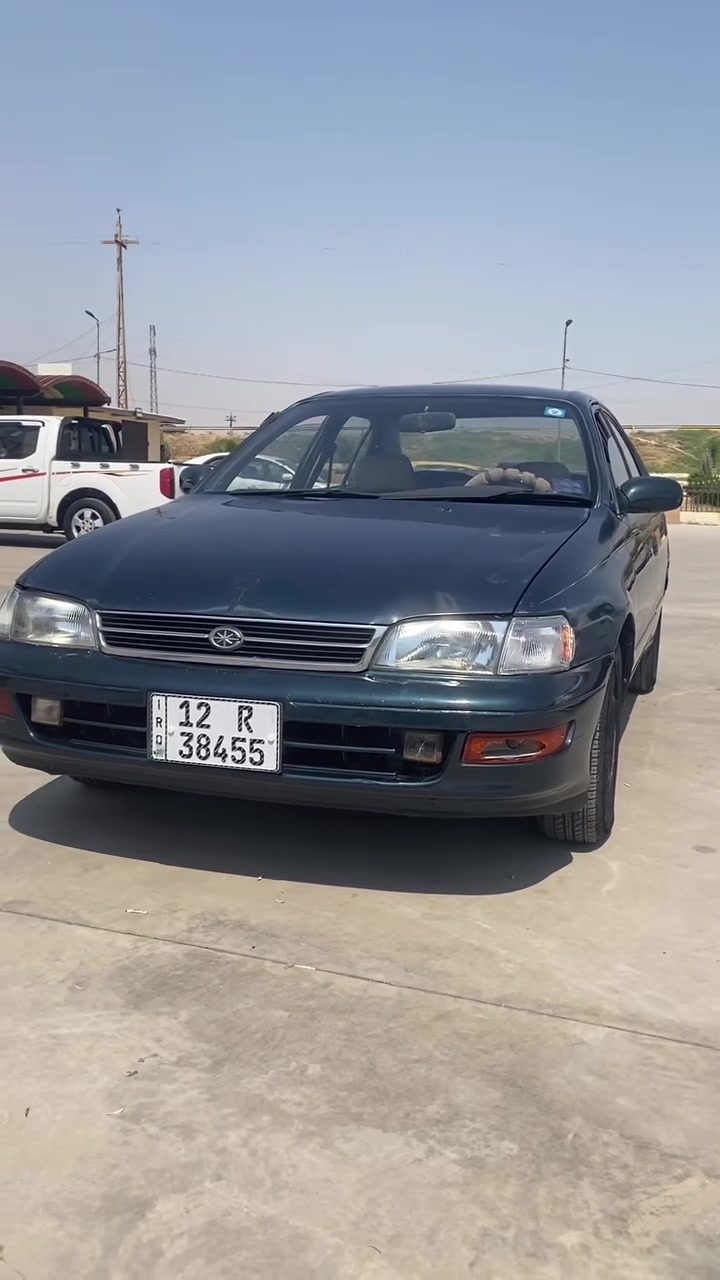 فرخ بطه منفصل موديل1993رقم نينوى 
سنويه وهزه جدد ترهم نقدوترهم مراوس
سعرالنقد40وبيهامجال لشراي صبغ احزام
مكان سياره كياره جدعه معرض الشهيدابوزوبع ارقم الاسيا***********
زين***********
— في ‏نينوى ناحيه القياره‏.
