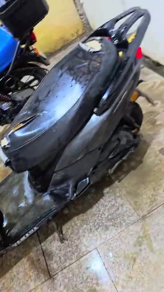 سكنس • صيني • ياباني