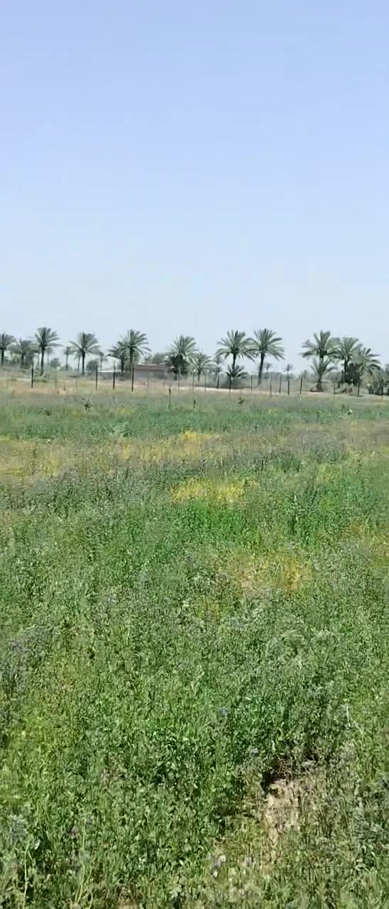 5 دونم طابو زراعي سند 25 

تحويل مباشر على طابو ابو غريب 
الارض مسيجة كامل 

مزروعة بستان جديد 

فيها ثلاث احواض خزن ماء 
فيها مسبح

فيها دار استراحة مكون (  من غرفة ومطبخة وصحيات و استقبال فول مواصفات  ) 

فيها حديقة مرتبة 

كراج سيارات
كل خدمات متوفرة 
لاستفسار الإتصال او مراسلة الواتساب ***********
