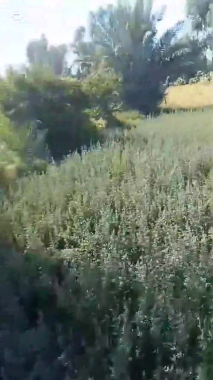 بيت للبيع في ابو غريب شارع التله عل شارع صاير  بي غرفتين نوم  5×4 المطبخ 6×5 الصاله 7×4 المضيف 8×5 حمام 2×1.5 ومساحت البيت 160م معا ارض دونم ونص عقد 17 مزرعه مرتبه وموقعهه حلو عل شارع ابو _غريب_ شارع التله السعر 135مليون  وبيهه مجال للطيبين للتواصل على هاذا الرقم وبي وتساب 👈‏‪***********‬‏
