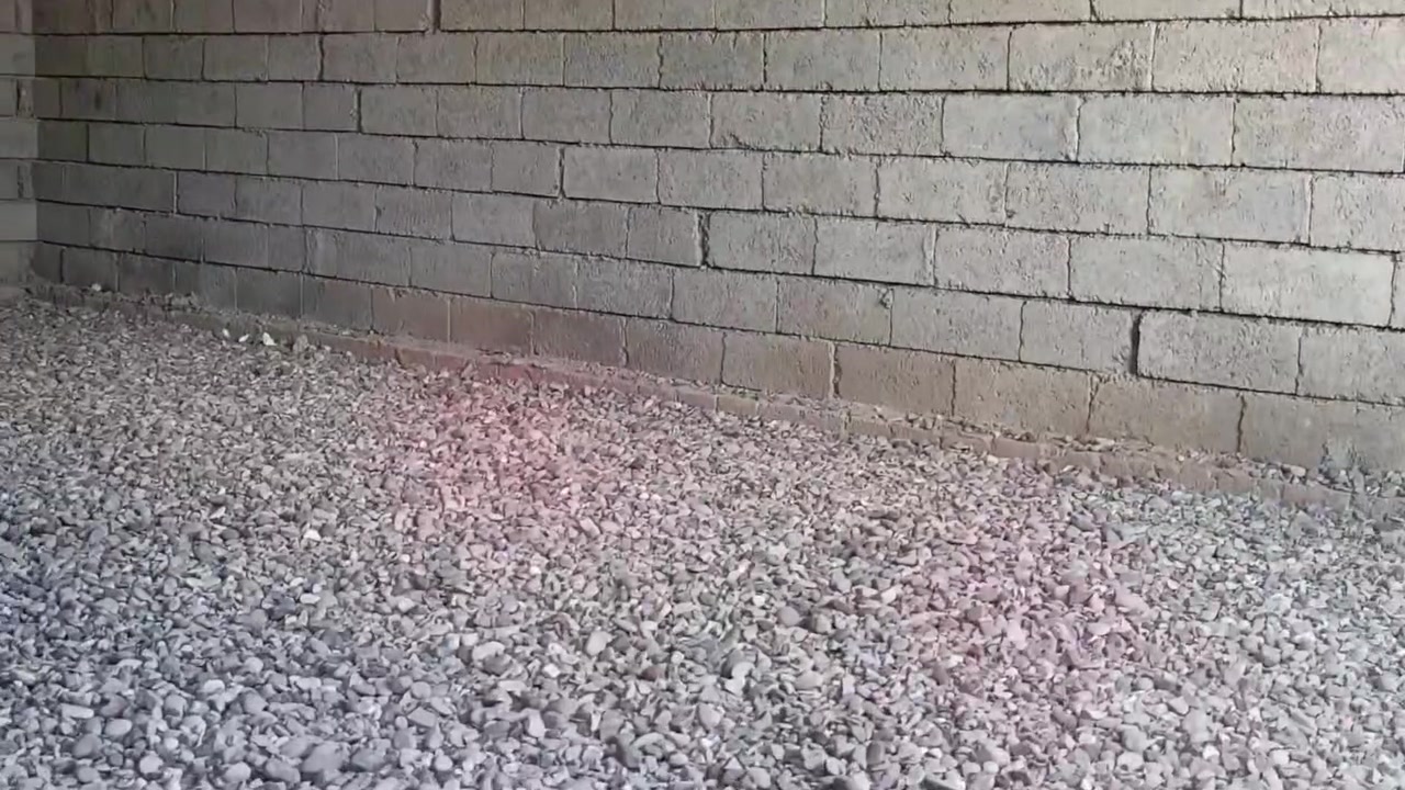 كادر عمال • تفليش بيوت • شركاط