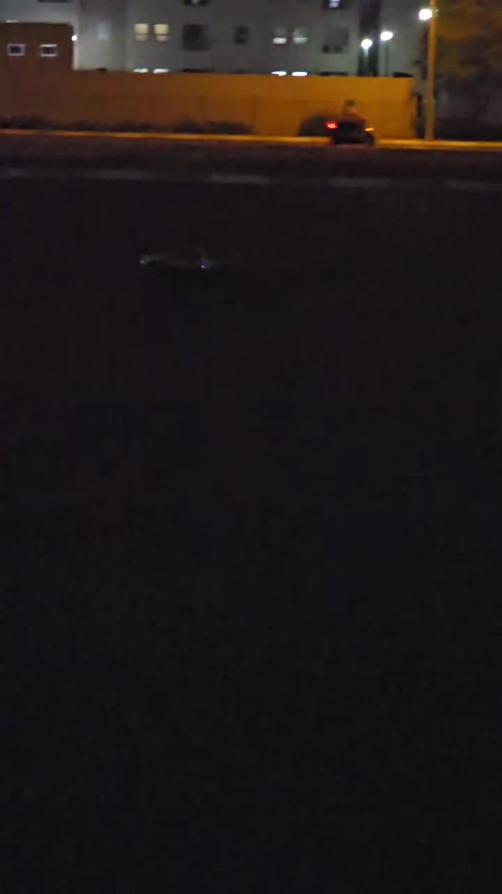تراكساس XMAXX • 8S • ٢٣٠كم/س
