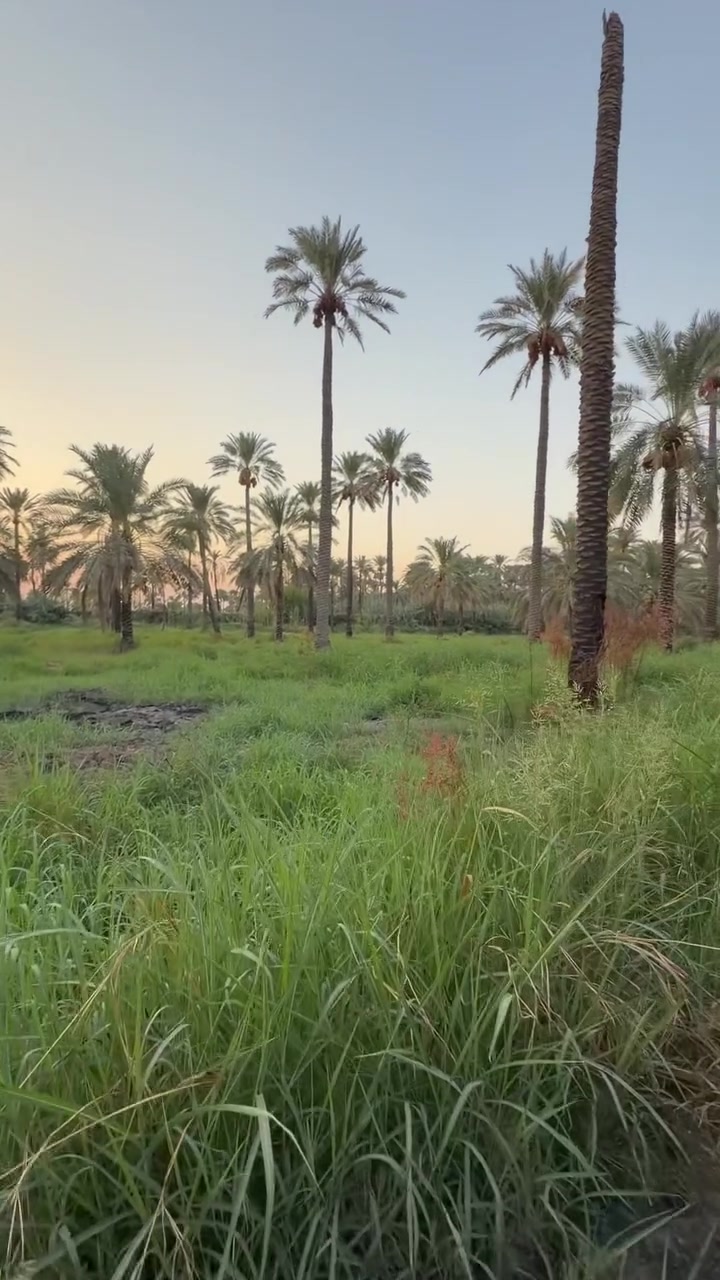 السلام عليكم 
دونمين طابو ملك صرف للبيع 
واجهه الدونم 25 
تبعد عن نهر دجله  200 متر 
المدائن شارع سيد علي الثاني 
للاستفسار الاتصال ***********
