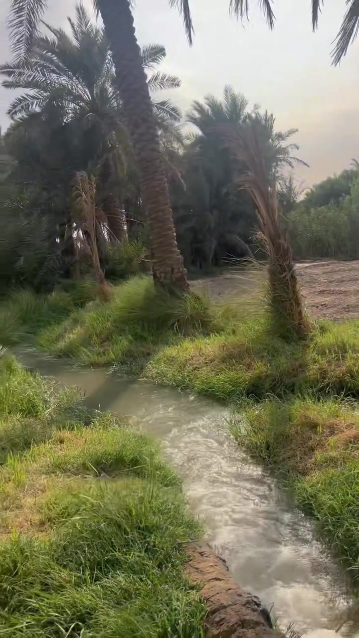 النوريه • ١٣٠ دونم • طابو صرف