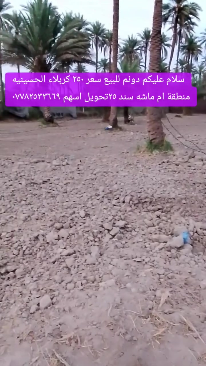 أرض • كربلاء • ام ماشه