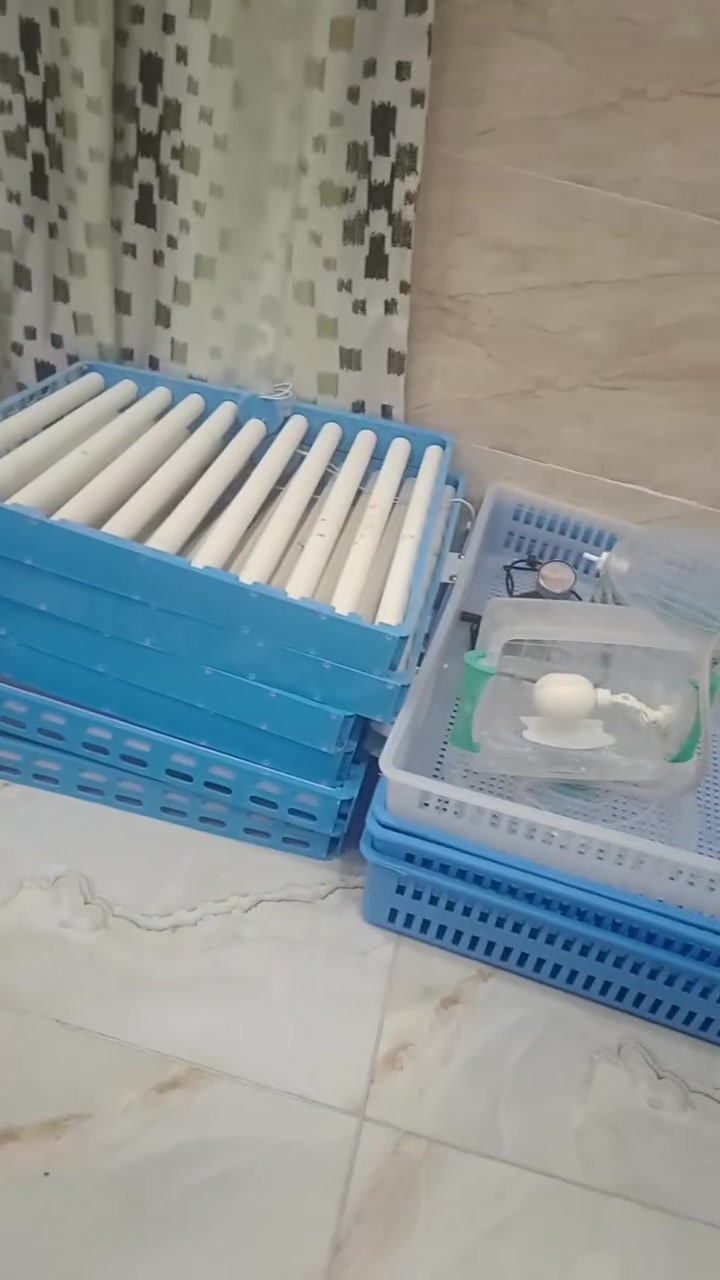 مفقس للبيع فول اتو ماتيك وباتري وعاكسه ياخذ ٤٢٠ بيضه سعره ٧٠٠ وبيه مجال ***********
