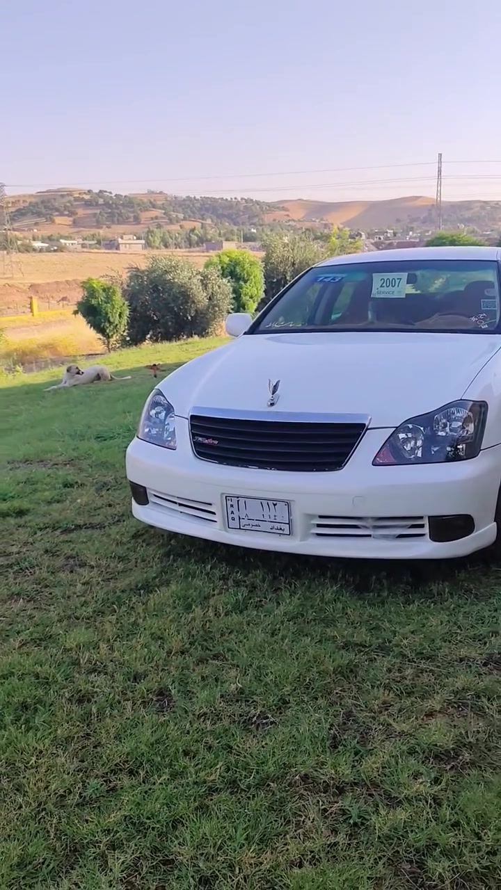 شاهینە 2006ڕۆیاڵ شتی جوان  نمونەی ڕۆیاڵی سپۆڕت کراو ئەمەیە 180گێڕ گەورەی کە م بەنزین خۆر  
 بڕاوە بڕاوە کۆد کراو بەناوخۆمەوەیە هی دەس خۆمە هی مەعرەز نییە شوێن بڕاوەکەی جوان دوراوەتەوە     ناوزەرد کامل کامل سپۆڕت کراوە
سپی سەدەف 
1.بەگ لایت سمۆک 200 ڕەنگ زیاترو ئەلوان لەپۆستەکە دامناوە جامی پێشوو دوای هه ڵگیراوە 
2بلوتوز بیلادی  تەبرید ساردو گەرم بەشەرتی سویچ حاسەی تەبریدو غەزنی تەبریدیشی تیاماوە هیچی دەرناکەم سپێری شەریکەی تیایە 
3 ساڵۆنسا سپۆرت بەکاتمەوە ئەشتوانی کاتمەکەی دەر کەی 
4هایدرۆلیکی تازە گۆڕاوە لەگەڵ سیوەیلی ئەکسل فڵچەی جام بەشەرت پاتری تازەیە مانگێک نابی گۆڕدراوە حاسەی پاتری بۆگواستراوەتەوە هه وای بەر قاچی بۆدانراوەتەوە
5چوار ویلی سپۆرتی سایز18لەسەرە  دووتایەی دوا تازە 
دووتایەی پێش دوومانگ تر ئەبێ بیگۆڕی 
6ناولایتی ڕەش کراوە سەکنی جوانو نزمێ زینۆن بەقەوەتی لەسەرە  فوولی بیلاد زەردی لەسەرە بەشەرت  ئەوەی چاو تێک دا 
لایتی ناوچەی کوێرییشی ئیش ئەکات  
گڵۆپ ناودەشبوڵ هیچی ئیش ناکات  هه مووی مەزبوت  
تکایە مووشتەری نیت سەرم مەیەشێنە   سەیارەکە پارەی لێ دراوە  بۆسعر
وەتس ئاپ نامە بنێرن *********** 
ئەوەی بۆدەس خۆی بیکڕیت ئەحەسێتەوە  دوومانگ  تر جووتی تایەو ڕۆنی مەکینە ئەگۆڕیت کامل مەسرەفو جوانکاری
