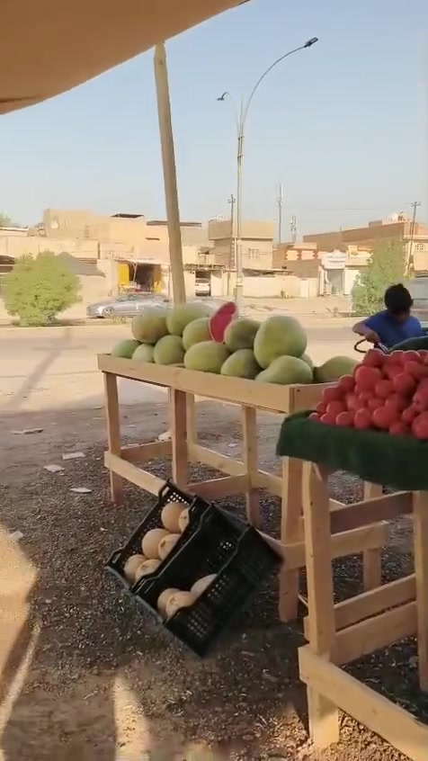 جنابر للبيع تسكام جديد بيع مستعجل مكاني حله شارع80 قياساتهن /الطول 8امتار مقسمات الارتفاع متر العرض 60فما فوق ***********
