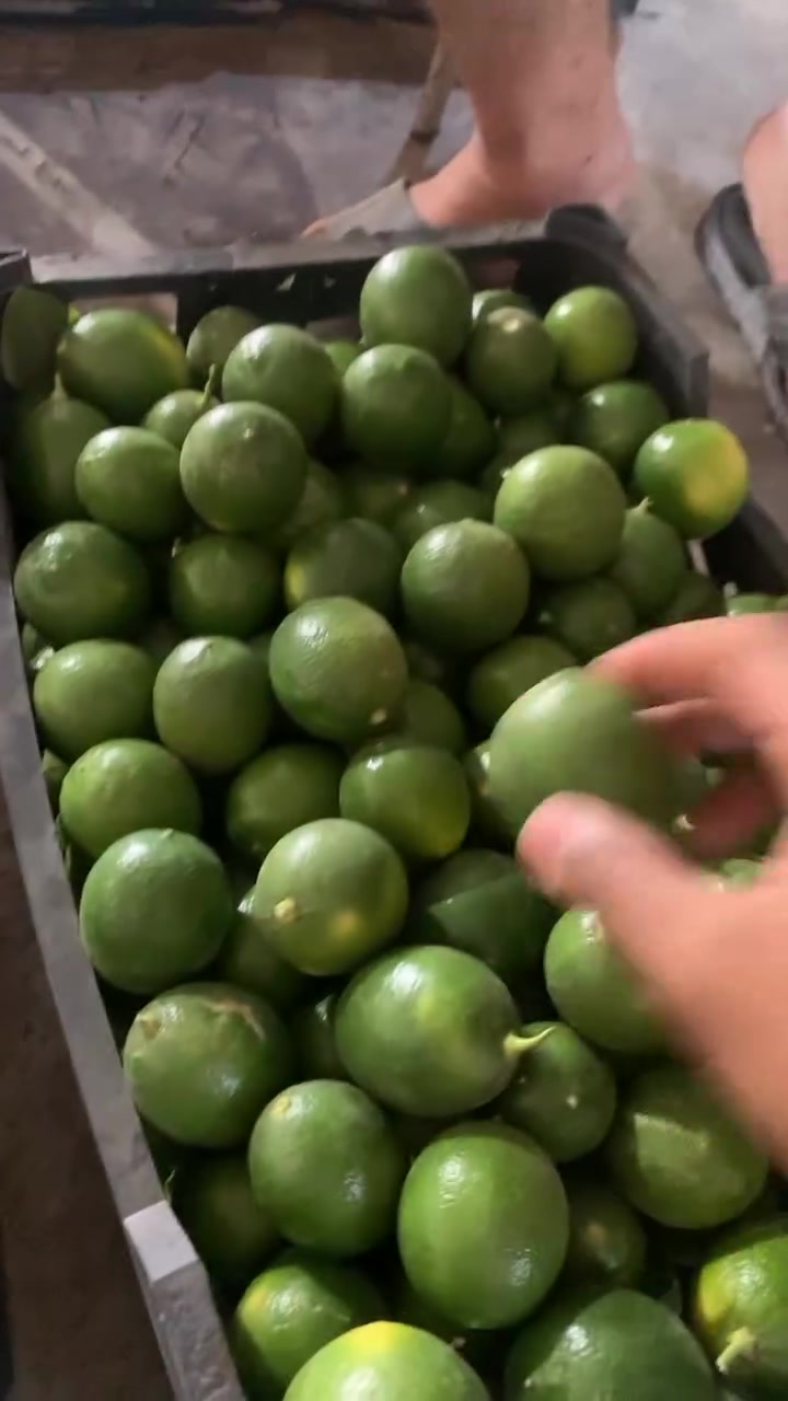 من رخصة الادمن على باب الله متوفر توصيل
***********
