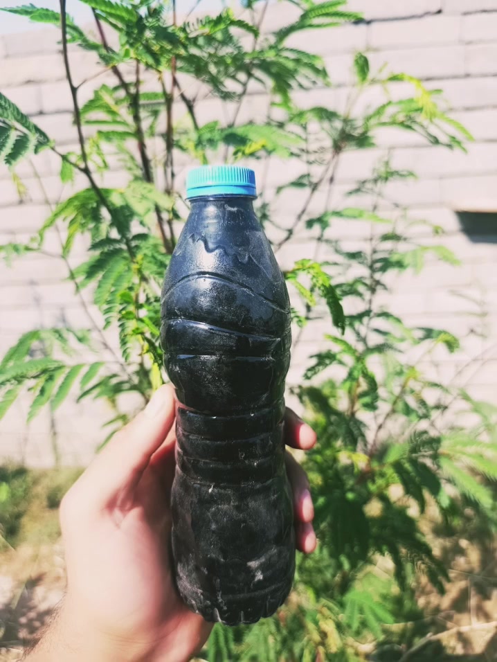 عدك برحي نخيل تعبان أو تريد ينمو أو تحافض علي هاذ الحل فعال ميه بل ميه عن تجربه البطلين7معه توصيل5بطاله15معه توصيل جرب ومراح تخسر راح شوف نتيجه بس10ايام فقط الوساب *********** والتصال***********
