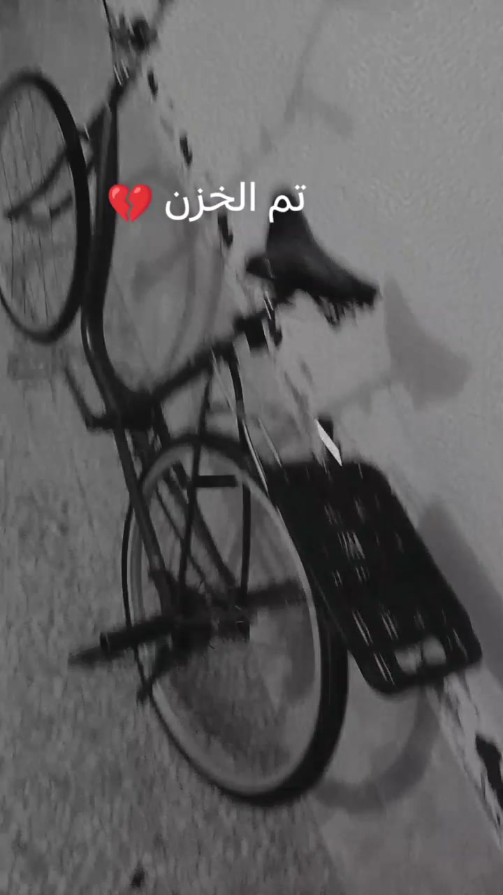باسكال • موديل ٢٠١٥ • حجم ٢٤