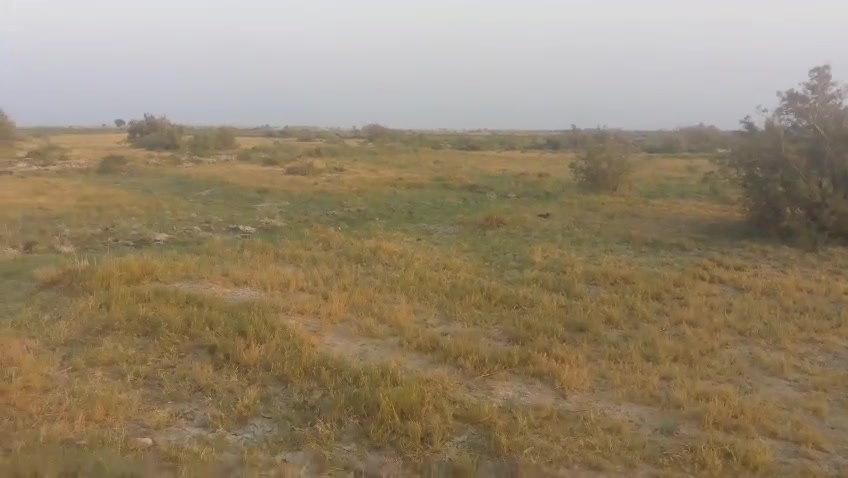 النصر • قرب آل كاظم • ٤٢ دونم