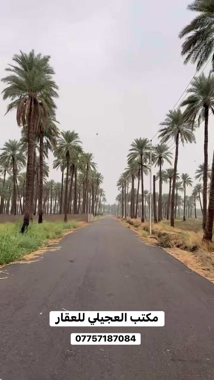 يتوفر دونم طابو بهذا المكان في قضاء المدائن سلمان باك 

***********
