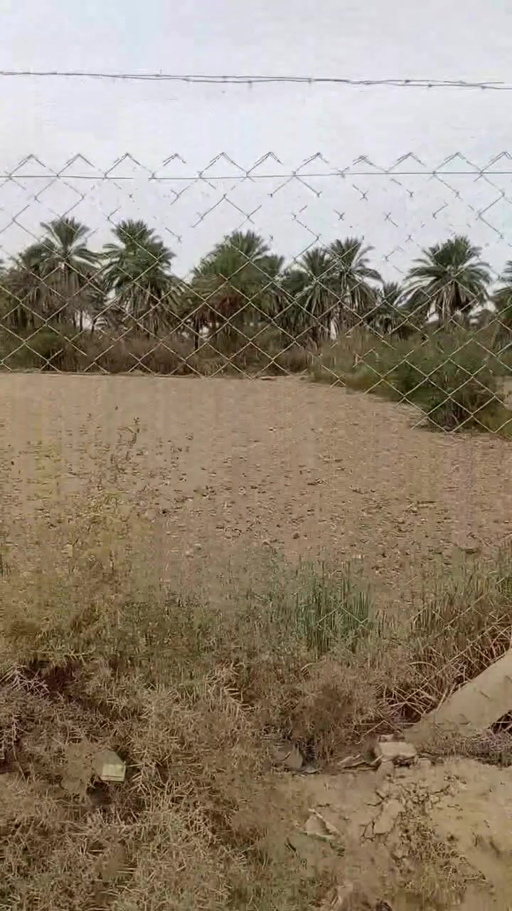١٠٠م • طابو زراعي • سند 25