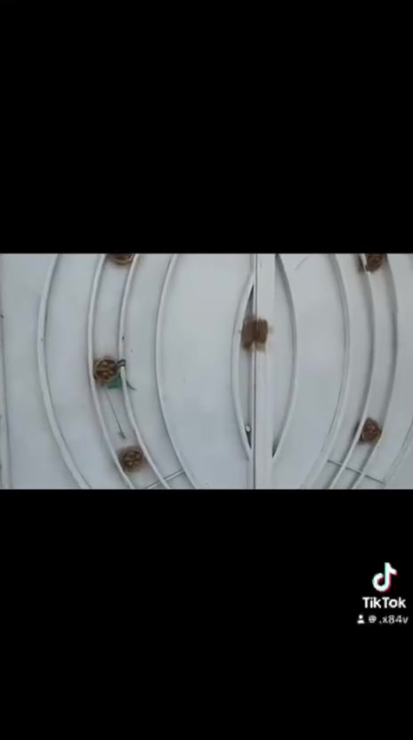 السلام عليكم
بيت للبيع في القريه الهولنديه تقاطع ٩نيسان
مساحه البيت ٢٠٤ متر 
غرفتين نوم ٤*٥
غرفه نظام سويت
صاله. ٤*٨
حمام غربي داخل الصاله
استقبال ٥*٧
مطبخ بارد ٤*٥
مطبخ حار ٢*٤
حمام خارجي للضيوف
ترك خلف البيت 
بيتونه ٣*٤ 
البيت جاهز مي خطين كهرباء تبليط كافه الخدمات
السقف صب 
الارضيه كاشي عراقي 
البيت سند٢٥ البيت ب اسمي 
تريد البيت مع الاثاث او بدون 
السعر المطلوب ٧٠ مليون وبي مجال ونسأل الله ان يرزقكم 
رقم صاحب الدار ***********
البيت في شارع الصالون
