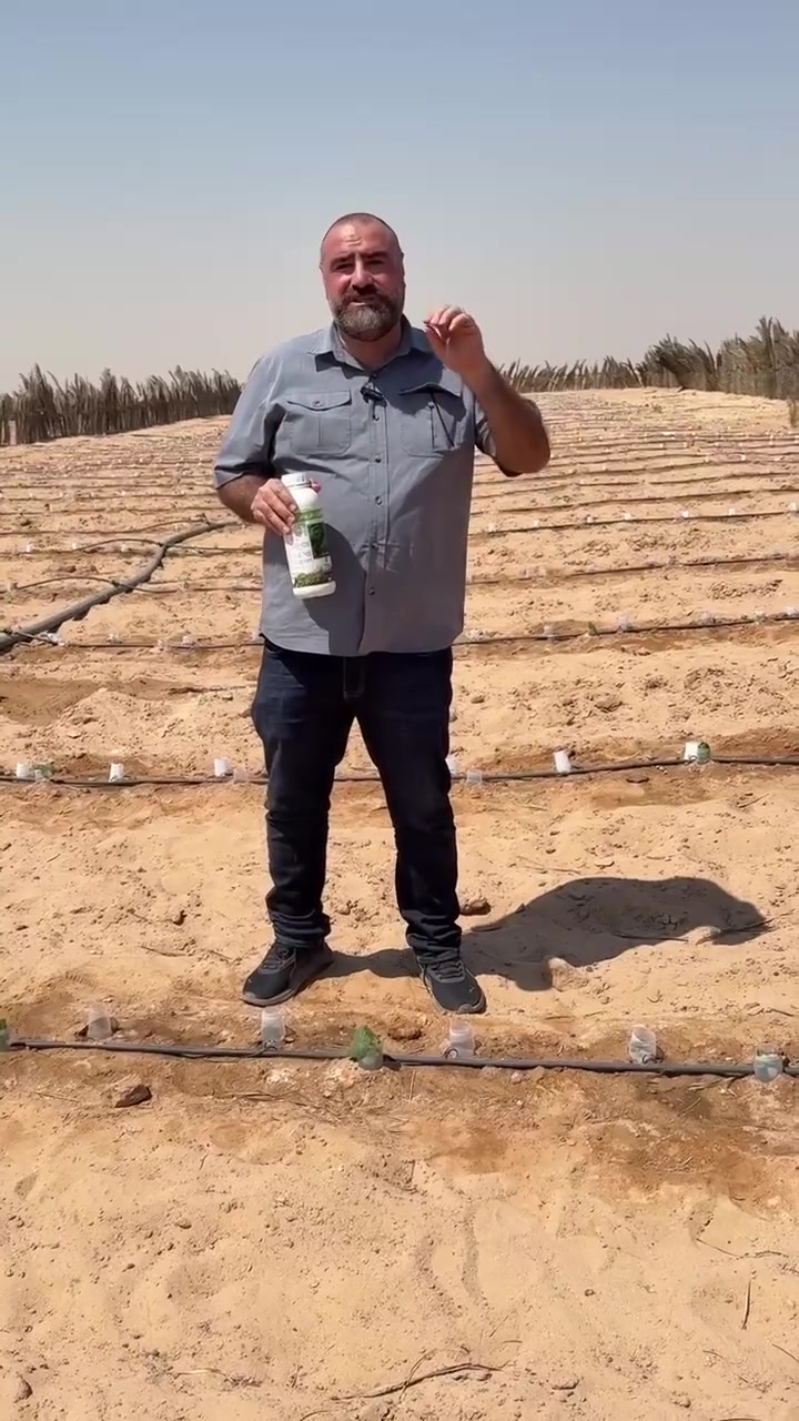 الغرينغو ثورة زراعية 
في الترب الرملية والمناطق الصحراوية تعتبر الاسمدة العضوية هي الاساس في الزراعة 
الغرينغو يحتوي على 
هيوميك اسيد
فولفيك اسيد
والاهم احماض دبالية وهي خلاصة الدمن ( الدرج ) 
وكذلك يحتوي على السيليكون الذي يزيد مناعة النبات
تفاعله حامضي وهذا يعني يقلل من قاعدية التربة وتتحرر العناصر 
غرينغو يفضل استخدامه سقاية بمعدل نصف الى ١ لتر للدونم 
للمزيد من المعلومات والاستفسار 
شركة الماس الاصفر
الفرع الاول / مكتب النور الزراعي
بغداد - اليوسفية - علوة الرمل 
الفرع الثاني / المركز العلمي للتقانات الزراعية الحديثة 
***********
 #مشعاب #خان_النص #زراعة #مزرعة #خيار #عناكب #النجف #كربلاءالمقدسة #الحيدرية #طماطة #تربة #عناصر #هيوميك #فولفيك #دبال #سيليكون
