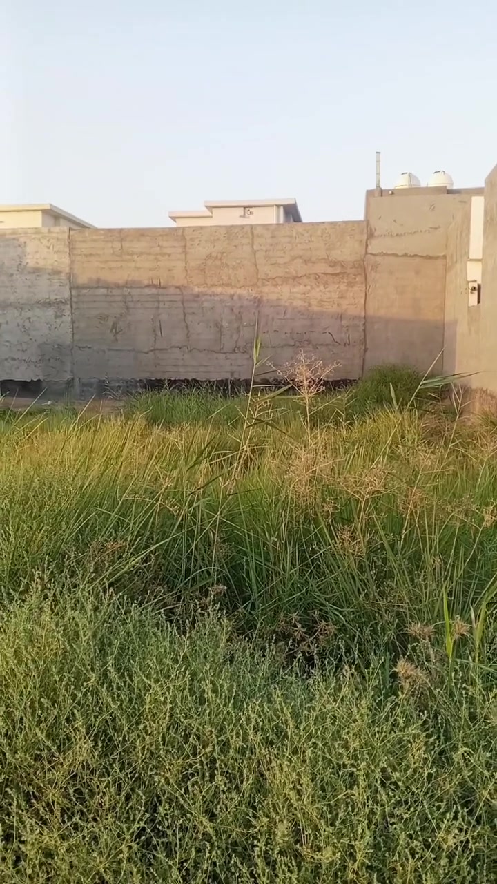 بسم الله الرحمن الرحيم 

قطعة ارض للبيع زراعي 25        المساحة 100م 5×20
الموقع 📍
منطقة دحيلة على مشروع الصب قرب شارع ديالى/بغداد موقع مميز للسكن المنطقة مخدومة ماء وكهرباء وشارع رئيسي تبليط 
السعر 💵 
نقد وقسط (مناسب جدا)
للاستفسار اكثر راسل الصفحه او الاتصال على الرقم التالي 📞 
***********
*********** واتساب

