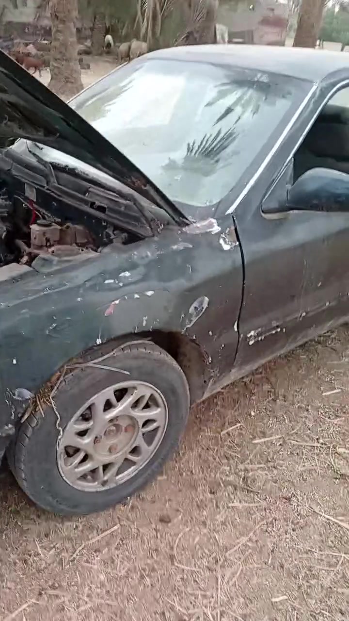 رقم نجف • ساقطة سنوية • بابل الهاشمية