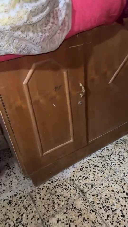 براد شغال • فرن • الغزاليه