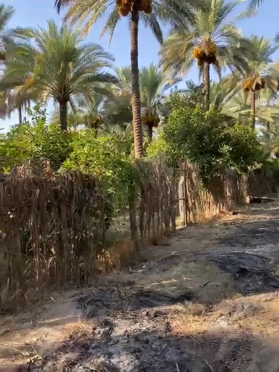 سلام عليكم للبيع دونم سند 25 تحويل مباشربس@0 المشتري بغداد الراشدية قرية النور جدا قريب ع شارع العام طريق بغداد كركوك كل خدمات متوفر بي السعر300 وبي مجال للشراي جدا قريب ع مجمع الطبي ***********
