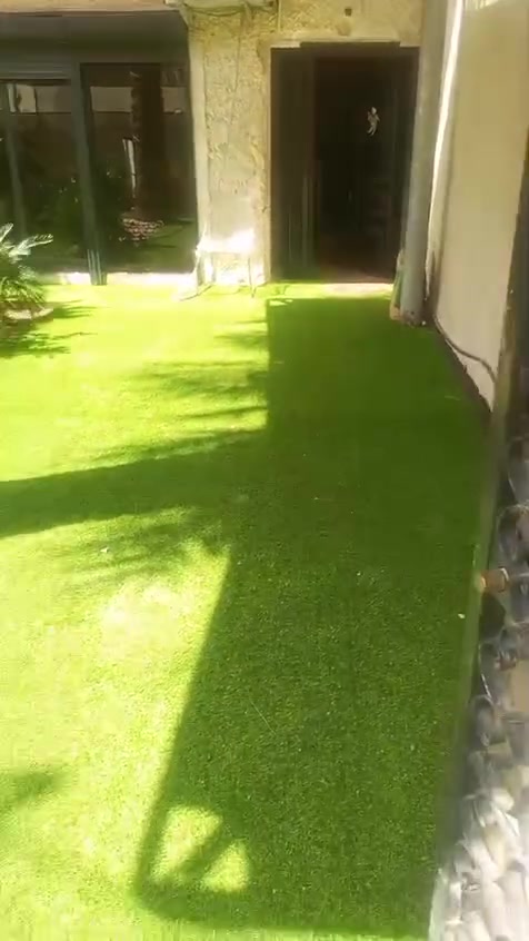 مؤثث • حي المتنبي • ١٥٠م